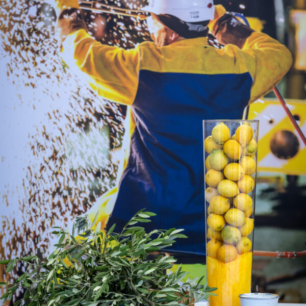 Buffet decoration with printed backdrop
