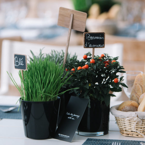 Herbs and plants center pieces for a Provence theme during MAPIC on the beach