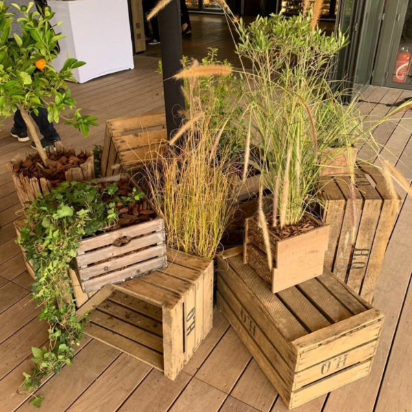 Wooden crates covered with plants to decorate the beach during MAPIC