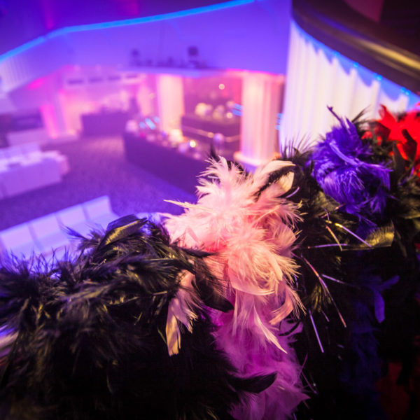 feather boas distributed upon arrival at the venue fr the disco theme party