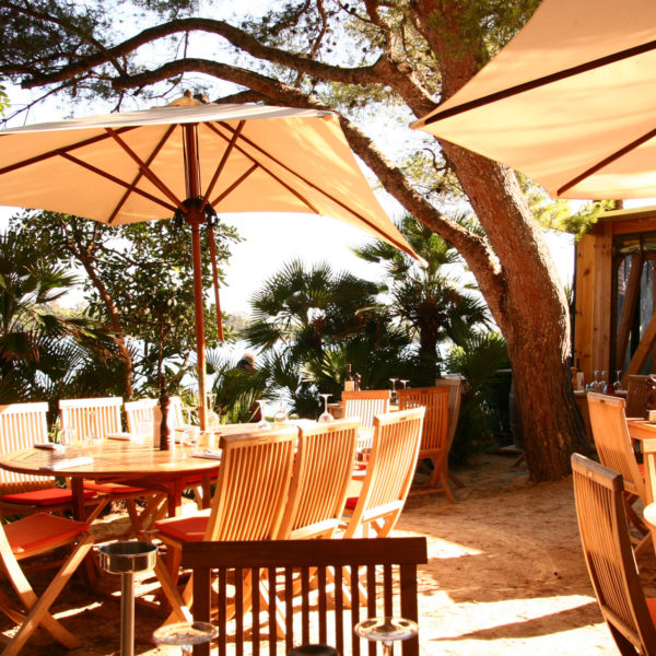 Restaurant on the island facing Cannes