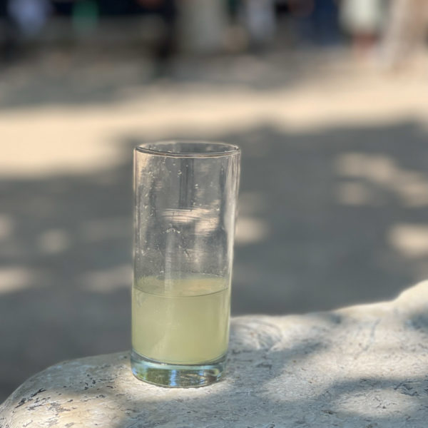 pastis in the shade of the trees