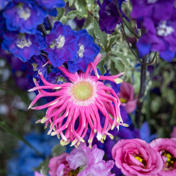 For the flower arrangement has been declined on three of the main colors: pink, blue and purple