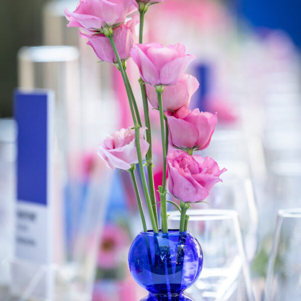 Cannes lions event around colors. The flower arrangement, the vases were choosen specifically to match the colors of the event