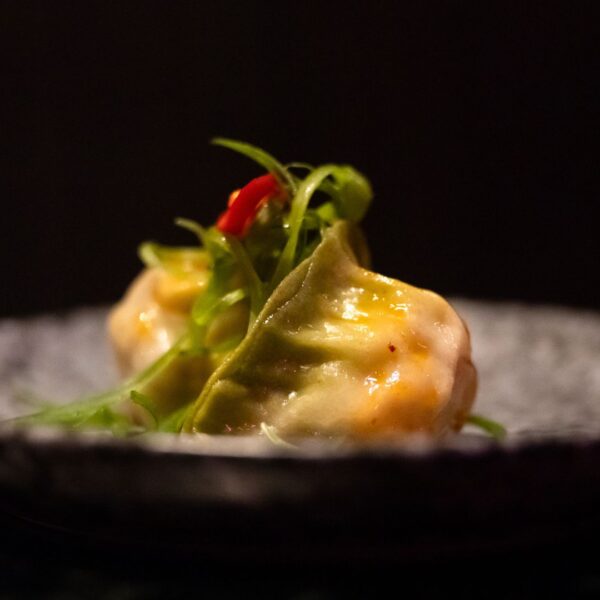 Chichen Gyoza with spices on plate served to the guests during the evening.