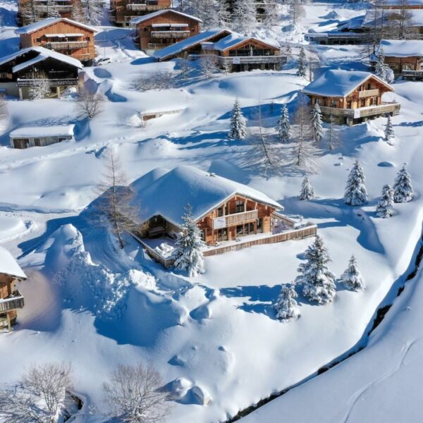 French alps experiences for executives