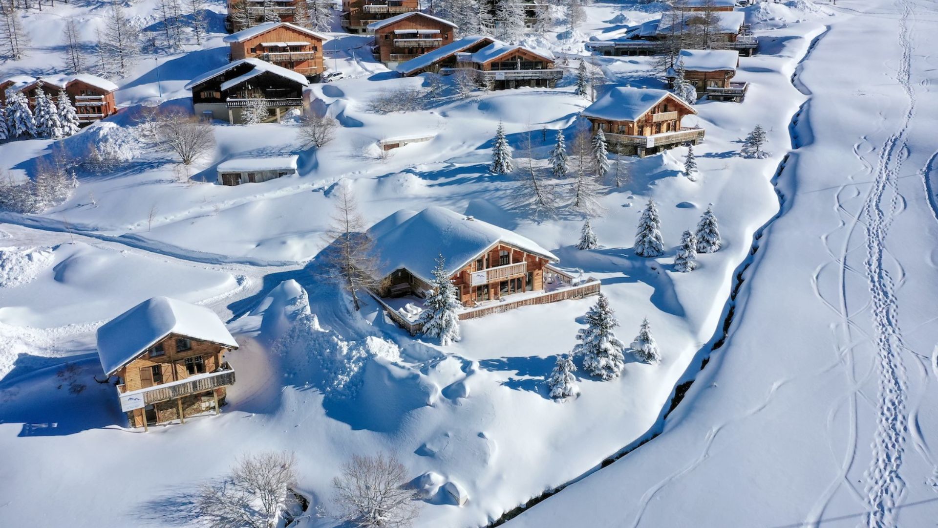 French alps experiences for executives